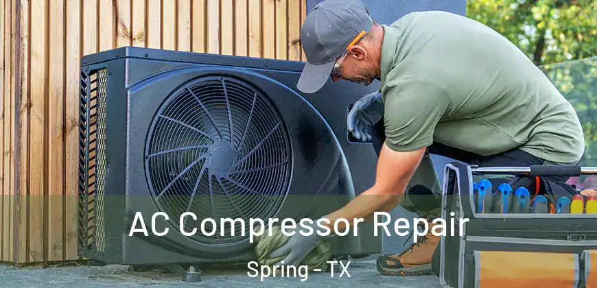 AC Compressor Repair Spring - TX