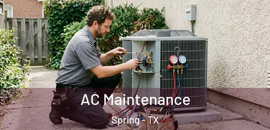 AC Maintenance Spring - TX
